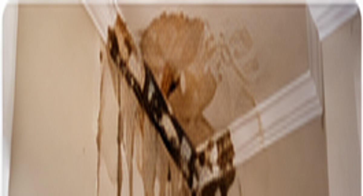 Interior wall moisture and leak detection inspection